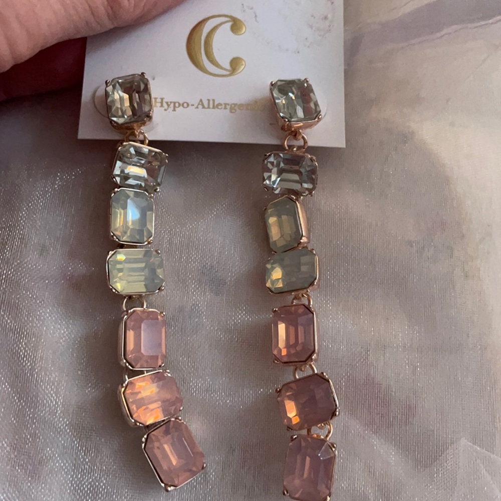 Charming Charlie Rose Gold Pastel Earrings